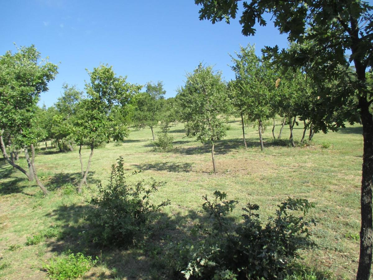 Le Mas Du Fort Gargas (Vaucluse) Exterior foto