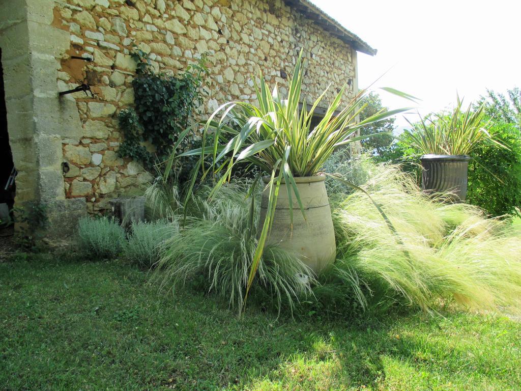 Le Mas Du Fort Gargas (Vaucluse) Exterior foto